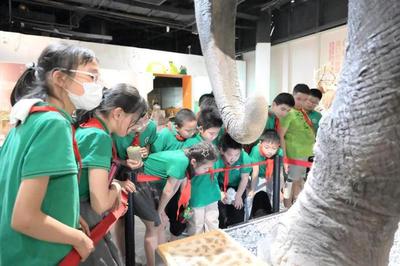 揭秘自然來信，共建綠色家園 | 青少年科學講壇引領自然探索新風尚